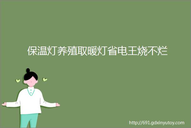 保温灯养殖取暖灯省电王烧不烂