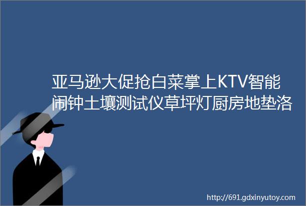 亚马逊大促抢白菜掌上KTV智能闹钟土壤测试仪草坪灯厨房地垫洛奇铁锅